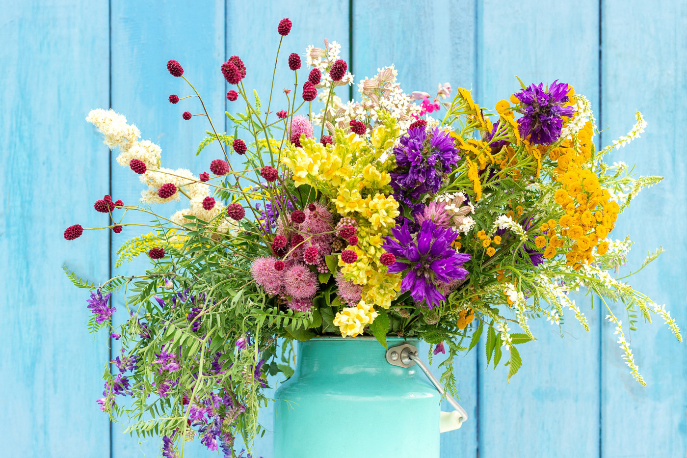 iStockphoto / Irina Krolevetc 
